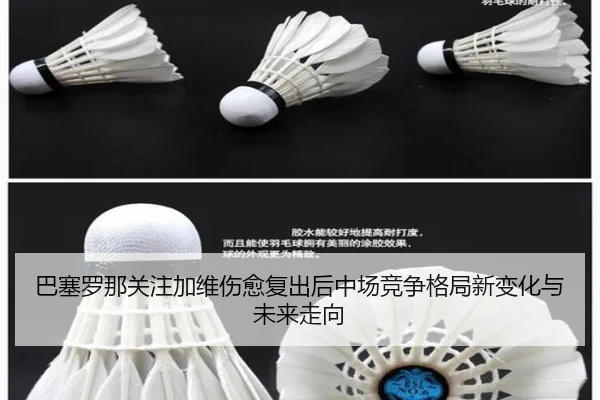 巴塞罗那关注加维伤愈复出后中场竞争格局新变化与未来走向 | kaiyun